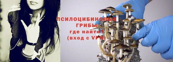 МДПВ Алексин