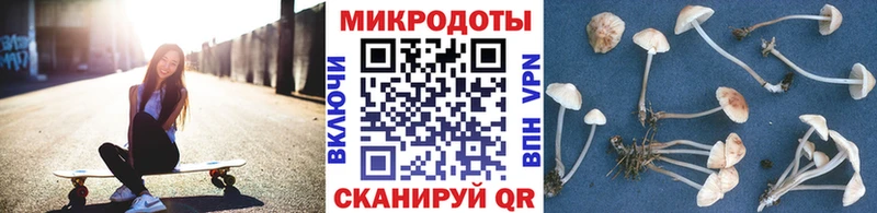 ссылка на мегу зеркало  Орёл  Галлюциногенные грибы Magic Shrooms 